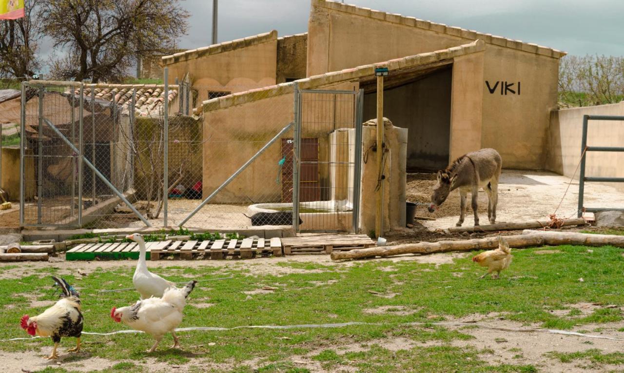 Aldea Los Odres - Cabanas De Madera De 1ª Con Piscina Privada Y Bbq En La Puerta Moratalla  Bagian luar foto